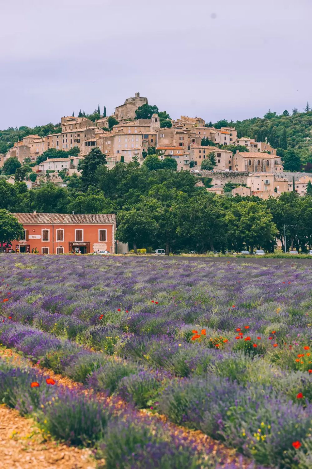 Lavender Fields & Lace Curtains: Provence in a&nbsp;Daydream